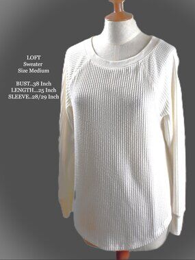 LOFT Sweater M Cream Color Pullover Long Sleeve Round Neck BIN 6